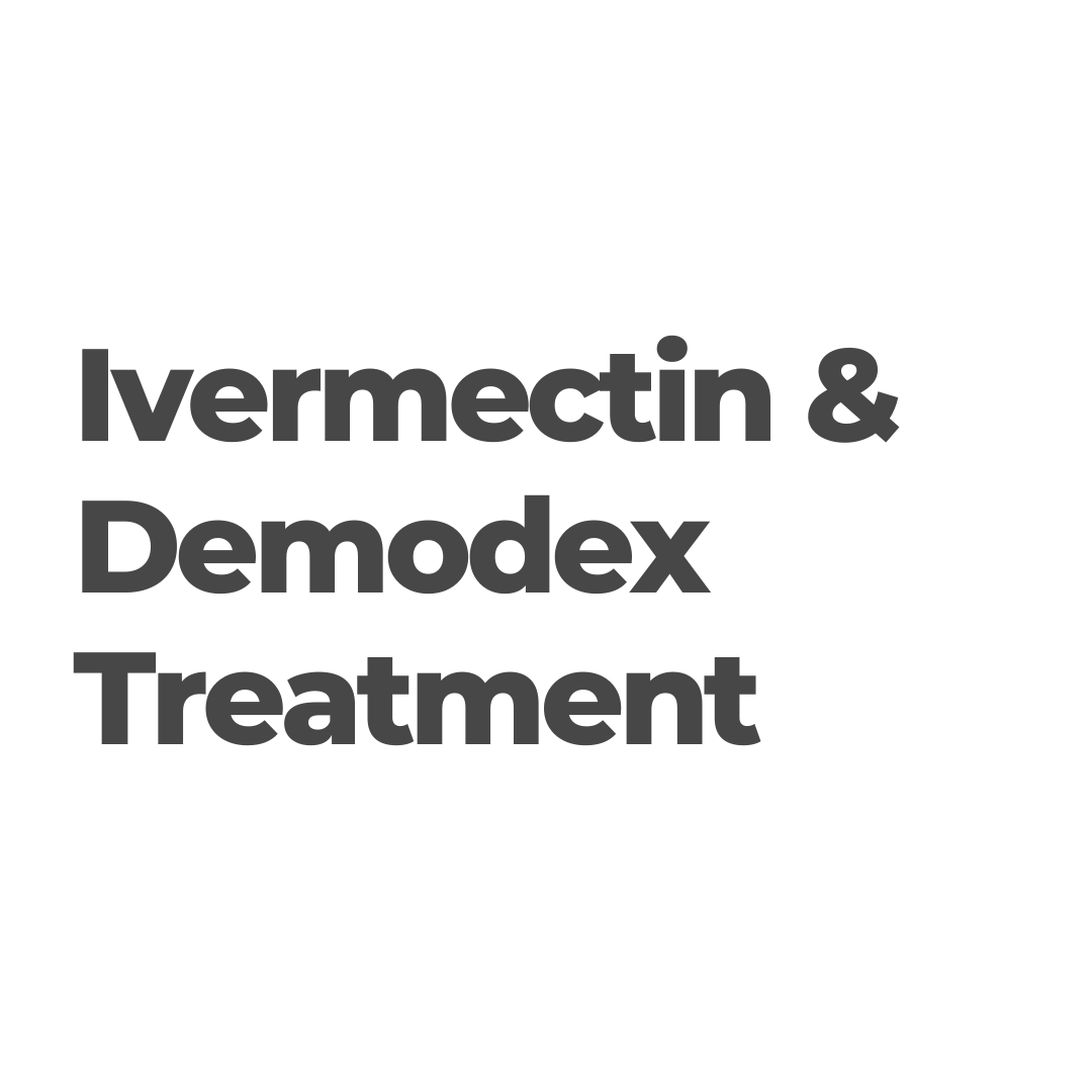 Demodectic mange treatment ivermectin top